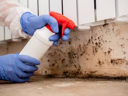 Best Mold Remediation for Rental Properties  in USA